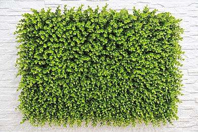 《Virtua Fighter 5 R.E.V.O》今冬登陆 Steam！开场动画现已公开